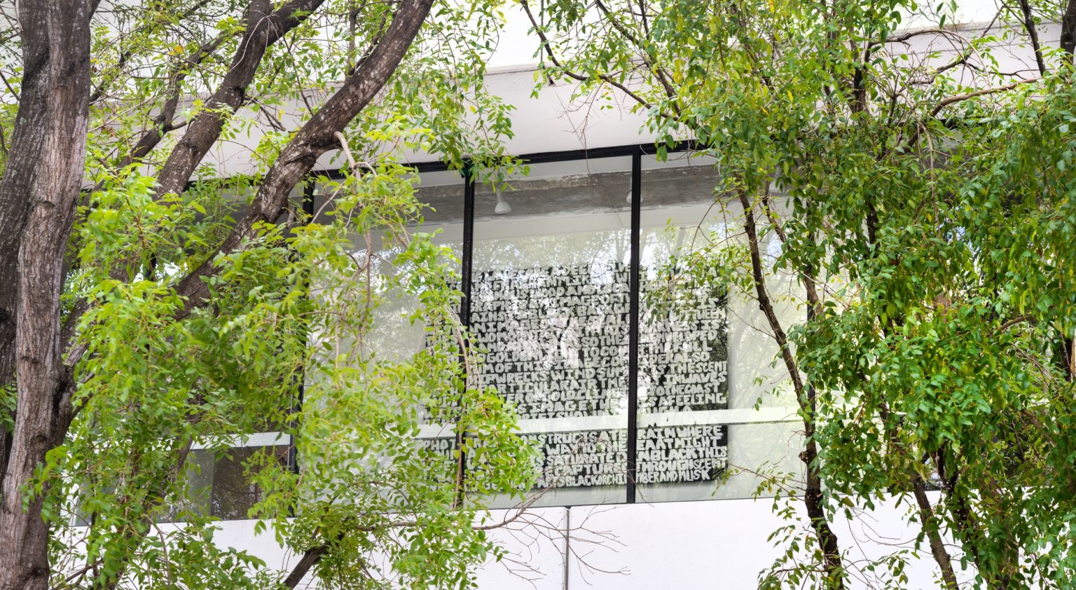 Gallery David Castillo