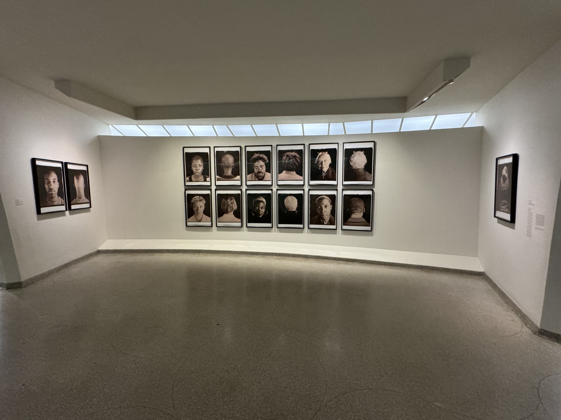 Home - David Castillo