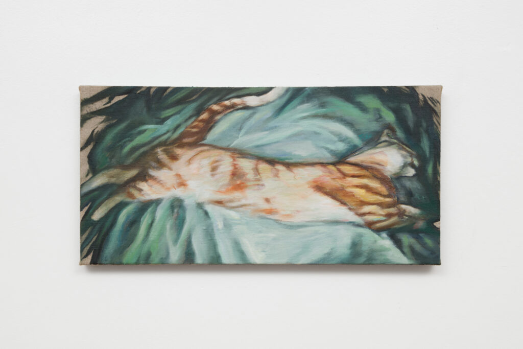 Stacey Calle: Truth of Fact, Truth of Feeling