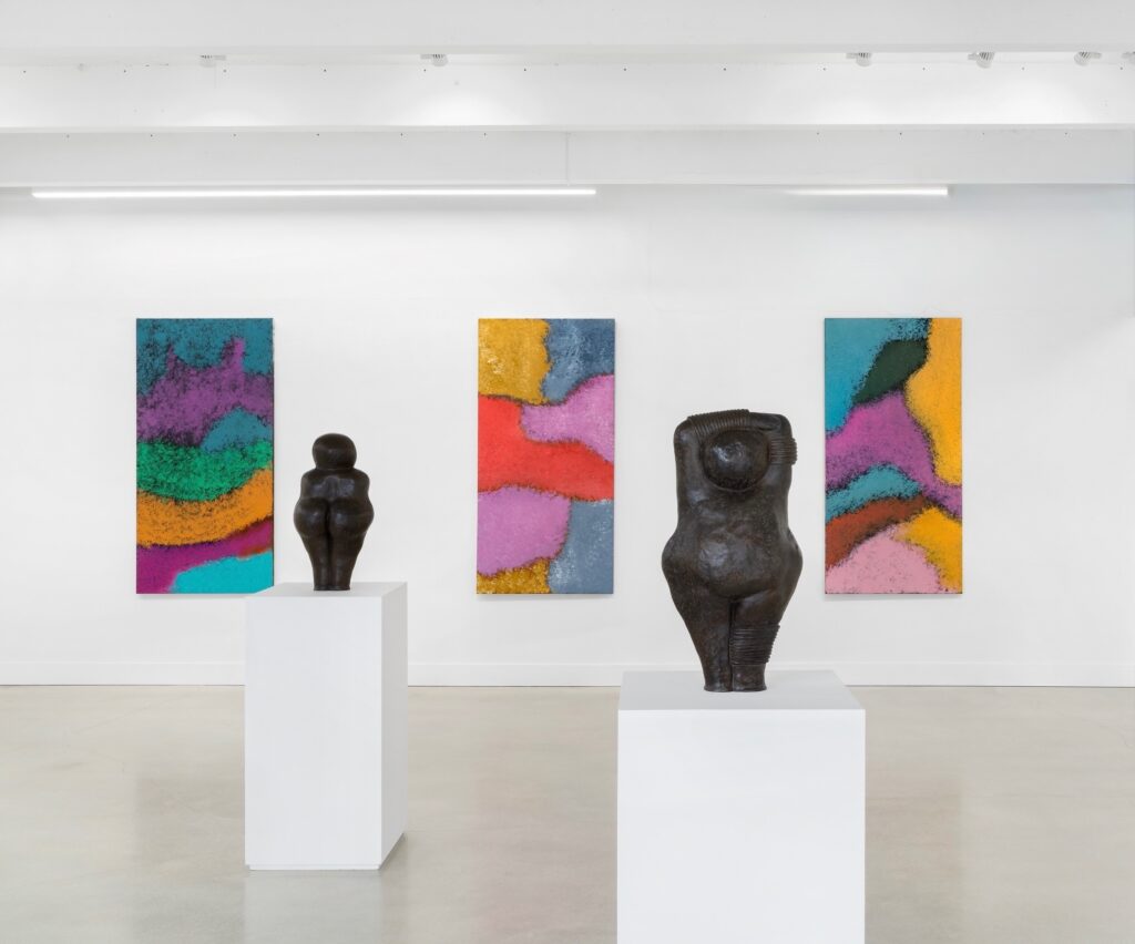 Xaviera Simmons: Ocular (the principle of pleasure)